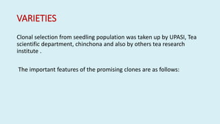 VARIETIES
Clonal selection from seedling population was taken up by UPASI, Tea
scientific department, chinchona and also by others tea research
institute .
The important features of the promising clones are as follows:
 