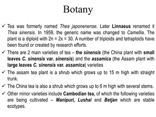 tea ppt.ppt