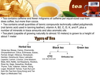 [object Object],[object Object],[object Object],Herbal tea  Types of Tea ,[object Object],Black tea Green tea CTC (cut, tear and curl) Orthodox tea 