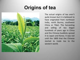 Origins of tea<br />The actual origins of tea aren’t quite known but it is believed to have originated from northeast Indi...