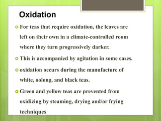 Oxidation
 For teas that require oxidation, the leaves are
left on their own in a climate-controlled room
where they turn progressively darker.
 This is accompanied by agitation in some cases.
 oxidation occurs during the manufacture of
white, oolong, and black teas.
 Green and yellow teas are prevented from
oxidizing by steaming, drying and/or frying
techniques
 