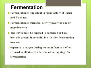 Fermentation
 Fermentation is important in manufacture of Puerh
and Black tea
 Fermentation is microbial activity involving one or
more bacteria
 The leaves must be exposed to bacteria ( or have
bacteria present inherently) in order for fermentation
to occur
 exposure to oxygen during tea manufacture is often
reduced or eliminated after the withering stage for
fermentation
 