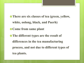There are six classes of tea (green, yellow,
white, oolong, black, and Puerh)
Come from same plant
The different types are the result of
differences in the tea manufacturing
process, and not due to different types of
tea plants.
 