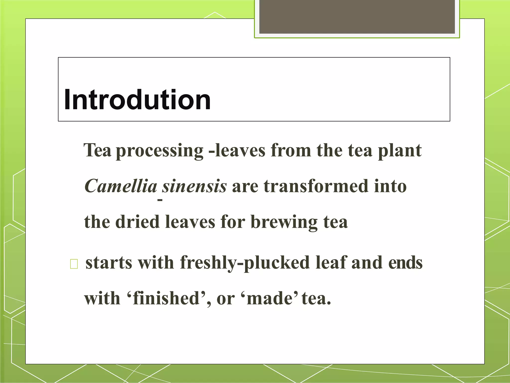 Tea Processing.pptx