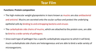 Tear Film
Functions: Protein composition
• The high‐molecular weight glycoproteins in tears known as mucins are also antibacterial
and antiviral. Mucins are secreted onto the ocular surface and protect the underlying
epithelial cells by binding to and entrapping bacteria and viruses
• The carbohydrate side chains of mucins, which are attached to the protein core, are able
to bind to a wide variety of pathogens
• Since each type of pathogen has a specific carbohydrate sequence to which it will bind,
mucin carbohydrate side chains are heterogeneous and are able to bind a wide variety of
microorganisms.
 