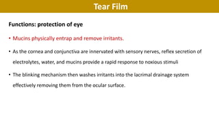 Tear Film
Functions: protection of eye
• Mucins physically entrap and remove irritants.
• As the cornea and conjunctiva are innervated with sensory nerves, reflex secretion of
electrolytes, water, and mucins provide a rapid response to noxious stimuli
• The blinking mechanism then washes irritants into the lacrimal drainage system
effectively removing them from the ocular surface.
 