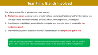 Tear Film: Glands Involved
The trilaminar tear film originates from three sources.
1. The lacrimal glands secrete a variety of water-soluble substances that comprise the intermediate tear
film layer: these include electrolytes, proteins, retinol, immunoglobulins, and enzymes
2. The thin anterior lipid layer, which contains both polar and nonpolar lipids, is secreted by the
meibomian glands
3. The inner mucous layer is secreted mainly, if not entirely, by the conjunctival goblet cells
There are, however, reports that small amounts of mucus layer may also be derived from the lacrimal
gland acinar cells and from subsurface secretory vesicles of the conjunctival and corneal epithelium
 