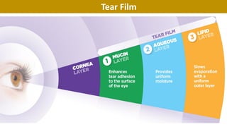 Tear Film
 