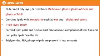 3 LIPID LAYER
• Outer most oily layer, derived from Meibomian glands, glands of Ziess and
glands of Moll
• Contains lipids with low polarity such as wax and cholesterol esters
• Fluid layer, 10 μm
• Formed from polar and neutral lipid face aqueous component of tear film and
non polar lipids face the air
• Triglycerides, FFA, phospholipids are present in low amounts
 