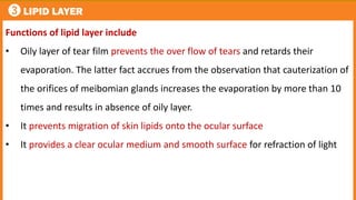 3 LIPID LAYER
Functions of lipid layer include
• Oily layer of tear film prevents the over flow of tears and retards their
evaporation. The latter fact accrues from the observation that cauterization of
the orifices of meibomian glands increases the evaporation by more than 10
times and results in absence of oily layer.
• It prevents migration of skin lipids onto the ocular surface
• It provides a clear ocular medium and smooth surface for refraction of light
 