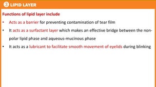 3 LIPID LAYER
Functions of lipid layer include
• Acts as a barrier for preventing contamination of tear film
• It acts as a surfactant layer which makes an effective bridge between the non-
polar lipid phase and aqueous-mucinous phase
• It acts as a lubricant to facilitate smooth movement of eyelids during blinking
 