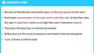 2 AQUEOUS LAYER
• Because of bicarbonate and protein give a buffering capacity to this layer
• Electrolyte concentration in this layer varies with flow rate. At low flow rates
the layer is hypertonic where as at high flow rates it becomes isotonic
• They form the basal tear or normal lacrimation
• Reflex tears are the result of excessive lacrimation from lacrimal gland
• 7 μm, It forms a uniform layer
 