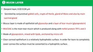 1 MUCIN LAYER
• Deepest layer, 0.02-0.04 μm
• Secreted by conjunctival goblet cells, crypts of Henle, gland of Manz and also by main
Lacrinal gland
• Mucus layer is made of epithelial cell glycocalyx and a layer of tear mucin (glycoprotein)
• MUC5AC is the main tear mucin which is produced along with trefoil protein TFF1 and 3
• Made of glycoprotein, mixed with lipids, anchored by micro villi
• Clear corneal epithelium is a relatively hydrophobic surface. In order for tears to completely
cover cornea the surface must be converted to a hydrophilic surface.
 