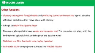 1 MUCIN LAYER
Other functions
• Slippery coating over foreign bodies and protecting cornea and conjuctiva against abrasive
effects of particles as they move about with blinking
• It helps to retain the aqueous layer
• Mucous or glycoproteins have a polar and non polar end. The non polar end aligns with the
hydrophobic epithelial cells and the polar end attracts water
• Stabilizes tear film, Semisolid state, highly hydrated
• Lubricates ocular and palpebral surfaces and reduces friction
 
