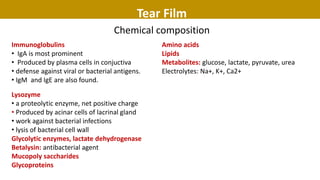 Tear Film
Chemical composition
Immunoglobulins
• IgA is most prominent
• Produced by plasma cells in conjuctiva
• defense against viral or bacterial antigens.
• IgM and IgE are also found.
Lysozyme
• a proteolytic enzyme, net positive charge
• Produced by acinar cells of lacrinal gland
• work against bacterial infections
• lysis of bacterial cell wall
Glycolytic enzymes, lactate dehydrogenase
Betalysin: antibacterial agent
Mucopoly saccharides
Glycoproteins
Amino acids
Lipids
Metabolites: glucose, lactate, pyruvate, urea
Electrolytes: Na+, K+, Ca2+
 