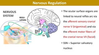 Nervous Regulation
• The ocular surface organs are
linked to neural reflex arc via
the afferent sensory cranial
nerve V (trigeminal) and via
the efferent motor fibers of
the cranial nerve VII (facial)
• SSN – Superior salivatory
nucleus
 