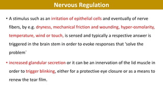 Nervous Regulation
• A stimulus such as an irritation of epithelial cells and eventually of nerve
fibers, by e.g. dryness, mechanical friction and wounding, hyper-osmolarity,
temperature, wind or touch, is sensed and typically a respective answer is
triggered in the brain stem in order to evoke responses that ‘solve the
problem´
• increased glandular secretion or it can be an innervation of the lid muscle in
order to trigger blinking, either for a protective eye closure or as a means to
renew the tear film.
 