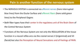 Pain is another function of the nervous system
• The NERVOUS SYSTEM is connected via afferent nerves (here interrupted
blue lines) from the Ocular Surface and efferent fibers (here solid green
lines) to the Peripheral Organs
• Both fiber types have their center in the regulatory unit of the Brain Stem of
the Central Nervous System
• Functions of the Nervous System are not only the REGULATION of the tissue
function in a neural reflex arcs via the cranial nerves V (trigeminal) and VII
(facial) but also the Perception of Neural Sensations and of Feelings of PAIN.
 
