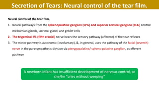 Neural control of the tear film.
1. Neural pathways from the sphenopalatine ganglion (SPG) and superior cervical ganglion (SCG) control
meibomian glands, lacrimal gland, and goblet cells
2. The trigeminal V1 (fifth cranial) nerve bears the sensory pathway (afferent) of the tear reflexes
3. The motor pathway is autonomic (involuntary), &, in general, uses the pathway of the facial (seventh)
nerve in the parasympathetic division via pterygopalatine/ spheno palatine ganglion, as efferent
pathway
A newborn infant has insufficient development of nervous control, so
she/he "cries without weeping”
Secretion of Tears: Neural control of the tear film.
 