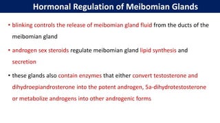 Hormonal Regulation of Meibomian Glands
• blinking controls the release of meibomian gland fluid from the ducts of the
meibomian gland
• androgen sex steroids regulate meibomian gland lipid synthesis and
secretion
• these glands also contain enzymes that either convert testosterone and
dihydroepiandrosterone into the potent androgen, 5a‐dihydrotestosterone
or metabolize androgens into other androgenic forms
 