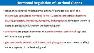 Hormonal Regulation of Lacrimal Glands
• Hormones from the hypothalamic–pituitary–gonadal axis, such as α -
melanocyte stimulating hormone (α‐MSH), adrenocorticotropic hormone
(ACTH), prolactin, androgens, estrogens, and progestins have been shown to
exert a significant influence on the lacrimal gland
• Androgens are potent hormones that stimulate the secretion of SIgA and
cystatin‐related protein
• glucocorticoids, retinoic acid, insulin, and glucagon are also known to affect
various aspects of the lacrimal gland
 