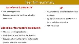 Lactoferrin & transferrin
• iron binding proteins
• Sequesters essential iron from microbes
replication
Tear film summary
IgA
• Major antibody present in Seromucous
secretions
• e.g. saliva, tears where is in form of a
dimer called secretory IgA
• half-life: 6 days
Lipocalin or tear specific prealbumin
• AKA tear-specific prealbumin
• Binds lipids to help stabilize the tear film
• Sequesters harmful lipid philic molecules to
prevent epithelial interaction
 