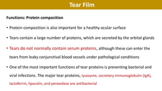 Tear Film
Functions: Protein composition
• Protein composition is also important for a healthy ocular surface
• Tears contain a large number of proteins, which are secreted by the orbital glands
• Tears do not normally contain serum proteins, although these can enter the
tears from leaky conjunctival blood vessels under pathological conditions
• One of the most important functions of tear proteins is preventing bacterial and
viral infections. The major tear proteins, lysozyme, secretory immunoglobulin (IgA),
lactoferrin, lipocalin, and peroxidase are antibacterial
 