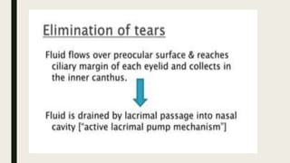 ANATOMY & PHYSIOLOGY OF TEAR FILM FOR CONTACT LENS FITTING.pdf