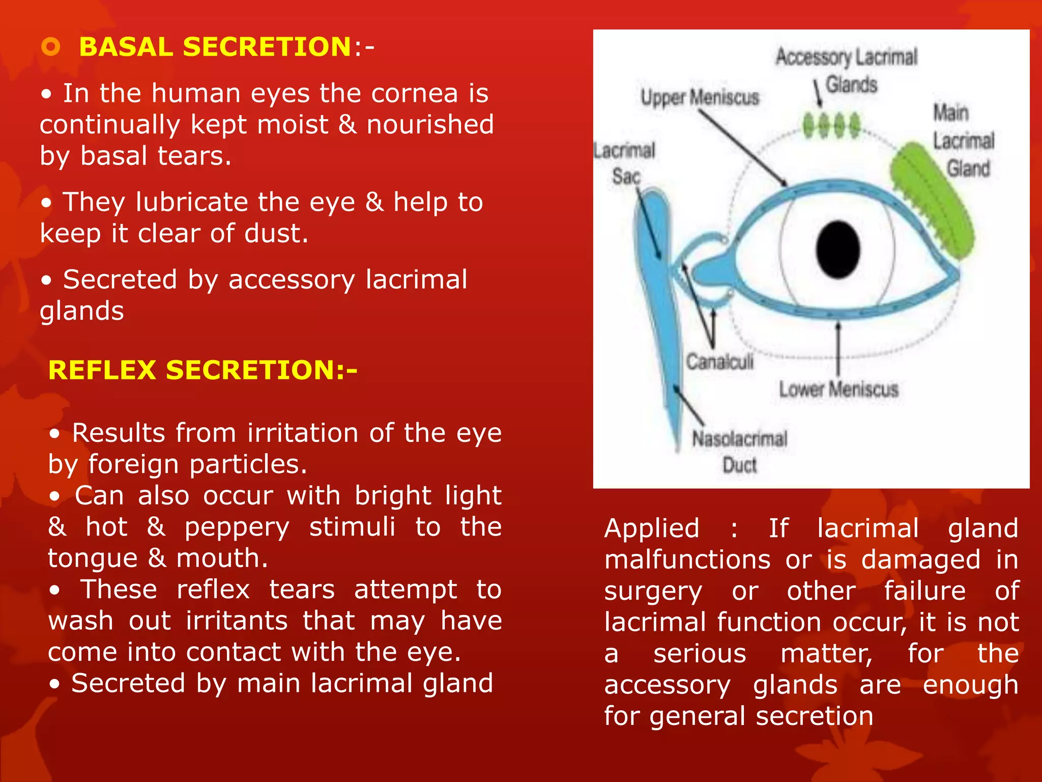  BASAL SECRETION:-
• In the human eyes the cornea is
continually kept moist & nourished
by basal tears.
• They lubricate the eye & help to
keep it clear of dust.
• Secreted by accessory lacrimal
glands
REFLEX SECRETION:-
• Results from irritation of the eye
by foreign particles.
• Can also occur with bright light
& hot & peppery stimuli to the
tongue & mouth.
• These reflex tears attempt to
wash out irritants that may have
come into contact with the eye.
• Secreted by main lacrimal gland
Applied : If lacrimal gland
malfunctions or is damaged in
surgery or other failure of
lacrimal function occur, it is not
a serious matter, for the
accessory glands are enough
for general secretion
 