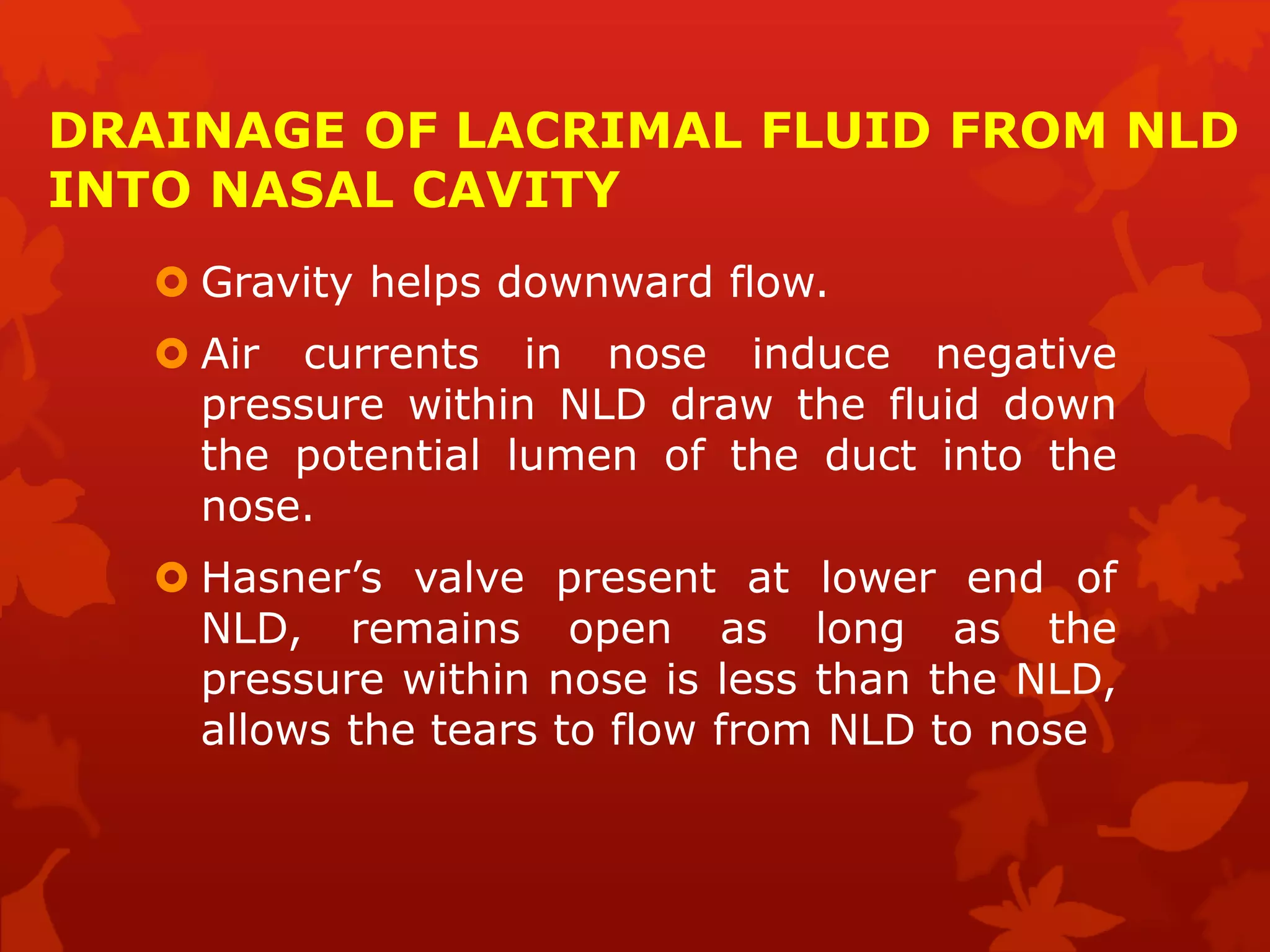 DRAINAGE OF LACRIMAL FLUID FROM NLD
INTO NASAL CAVITY
 Gravity helps downward flow.
 Air currents in nose induce negative
pressure within NLD draw the fluid down
the potential lumen of the duct into the
nose.
 Hasner’s valve present at lower end of
NLD, remains open as long as the
pressure within nose is less than the NLD,
allows the tears to flow from NLD to nose
 