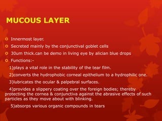 MUCOUS LAYER
 Innermost layer.
 Secreted mainly by the conjunctival goblet cells
 30um thick.can be demo in living eye by alician blue drops
 Functions:-
1)plays a vital role in the stability of the tear film.
2)converts the hydrophobic corneal epithelium to a hydrophilic one.
3)lubricates the ocular & palpebral surfaces.
4)provides a slippery coating over the foreign bodies; thereby
protecting the cornea & conjunctiva against the abrasive effects of such
particles as they move about with blinking.
5)absorps various organic compounds in tears
 