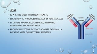 • IGA
• IG A IS THE MOST PROMINENT TEAR IG
• SECRETORY IG PRODUCED LOCALLY BY PLASMA CELLS
• IT DIFFERS FROM CIRCULATING IG, IN HAVING
ADDITIONAL SECRETORY PIECE.
• PROVIDES EFFECTIVE DEFENCE AGAINST EXTERNALLY
INVASIVE VIRAL OR BACTERIAL ANTIGENS.
 
