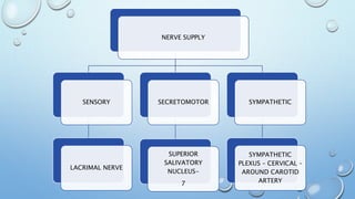 NERVE SUPPLY
SENSORY
LACRIMAL NERVE
SECRETOMOTOR
SUPERIOR
SALIVATORY
NUCLEUS-
7
SYMPATHETIC
SYMPATHETIC
PLEXUS – CERVICAL –
AROUND CAROTID
ARTERY
 