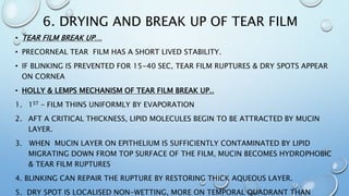 6. DRYING AND BREAK UP OF TEAR FILM
• TEAR FILM BREAK UP…
• PRECORNEAL TEAR FILM HAS A SHORT LIVED STABILITY.
• IF BLINKING IS PREVENTED FOR 15-40 SEC, TEAR FILM RUPTURES & DRY SPOTS APPEAR
ON CORNEA
• HOLLY & LEMPS MECHANISM OF TEAR FILM BREAK UP..
1. 1ST – FILM THINS UNIFORMLY BY EVAPORATION
2. AFT A CRITICAL THICKNESS, LIPID MOLECULES BEGIN TO BE ATTRACTED BY MUCIN
LAYER.
3. WHEN MUCIN LAYER ON EPITHELIUM IS SUFFICIENTLY CONTAMINATED BY LIPID
MIGRATING DOWN FROM TOP SURFACE OF THE FILM, MUCIN BECOMES HYDROPHOBIC
& TEAR FILM RUPTURES
4. BLINKING CAN REPAIR THE RUPTURE BY RESTORING THICK AQUEOUS LAYER.
5. DRY SPOT IS LOCALISED NON-WETTING, MORE ON TEMPORAL QUADRANT THAN
 
