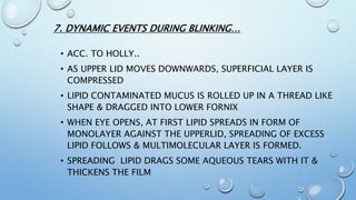 7. DYNAMIC EVENTS DURING BLINKING…
• ACC. TO HOLLY..
• AS UPPER LID MOVES DOWNWARDS, SUPERFICIAL LAYER IS
COMPRESSED
• LIPID CONTAMINATED MUCUS IS ROLLED UP IN A THREAD LIKE
SHAPE & DRAGGED INTO LOWER FORNIX
• WHEN EYE OPENS, AT FIRST LIPID SPREADS IN FORM OF
MONOLAYER AGAINST THE UPPERLID, SPREADING OF EXCESS
LIPID FOLLOWS & MULTIMOLECULAR LAYER IS FORMED.
• SPREADING LIPID DRAGS SOME AQUEOUS TEARS WITH IT &
THICKENS THE FILM
 