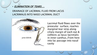 • ELIMINATION OF TEARS….
DRAINAGE OF LACRIMAL FLUID FROM LACUS
LACRIMALIS INTO NASO LACRIMAL DUCT
Lacrimal fluid flows over the
preocular surface, reaches
marginal tear strip along
ciliary margin of each eye &
colllects as lacus lacrimalis
in inner canthus..From here
into lac passage into nasal
cavity
 