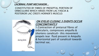 LACRIMAL PUMP MECHANISM…
CONSTITUTED BY FIBRES OF PRESEPTAL PORTION OF
ORBICULARIS WHICH ARISES FROM LAC FASCIA &
POSTERIOR LAC CREST( HORNER’S MUSCLE)
ON EYELID CLOSING 3 EVENTS OCCUR
CONCOMITANTLY
1.Contraction of pretarsal fibres of
orbicularis, compresses ampulla &
shortens canaliculi- this movement
propels tear fluid present in Ampulla
& horizontal part of canaliculi towards
lacrimal sac.
 