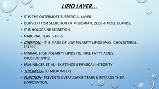 LIPID LAYER…
• IT IS THE OUTERMOST SUPERFICIAL LAYER
• DERIVED FROM SECRETION OF MEIBOMIAN, ZEISS & MOLL GLANDS,
• IT IS HOLOCRINE SECRETION
• MARGINAL TEAR STRIPS
• CHEMICAL- IT IS MADE OF LOW POLARITY LIPIDS (WAX, CHOLESTEROL
ESTERS)
• MINIMAL HIGH POLARITY LIPIDS (TG, FREE FATTY ACIDS,
PHOSPHOLIPIDS)
• BRAUNINGER ET AL- EXISTENCE & PHYSICAL INTEGRITY
• THICKNESS- 0.1MICROMETRE
• FUNCTION- PREVENTS OVERFLOW OF TEARS & RETARDS THEIR
EVAPORATION.
 