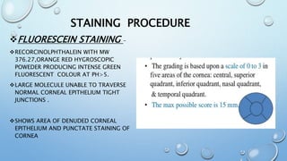 FLUORESCEIN STAINING –
RECORCINOLPHTHALEIN WITH MW
376.27,ORANGE RED HYGROSCOPIC
POWEDER PRODUCING INTENSE GREEN
FLUORESCENT COLOUR AT PH>5.
LARGE MOLECULE UNABLE TO TRAVERSE
NORMAL CORNEAL EPITHELIUM TIGHT
JUNCTIONS .
SHOWS AREA OF DENUDED CORNEAL
EPITHELIUM AND PUNCTATE STAINING OF
CORNEA
STAINING PROCEDURE
 