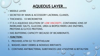 AQUEOUS LAYER…
• MIDDLE LAYER
• SECRETED BY MAIN & ACCESSORY LACRIMAL GLANDS.
• THICKNESS- 10 MICROMETER
• IT IS A AQUEOUS SOLUTION OF LOW VISCOSITY, CONTAINING IONS OF
INORGANIC SALTS, GLUCOSE, UREA & BIOPOLYMERS LIKE ENZYMES,
PROTEINS & GLYCO PROTEINS.
• HAS BUFFERING CAPACITY BECAUSE OF BICARBONATE.
• FUNCTION-
1. PROVIDES ATM O2 TO EPITHELIUM
2. WASHES AWAY DEBRIS & NOXIOUS IRRITANTS
3. CONTAINS ANTIBACTERIAL SUBSTANCES LIKE LYSOZYME & BETALYSIN
 