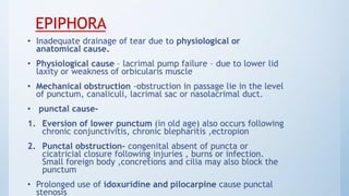 TEAR FILM PHYSIOLOGY Presentation ophthal | PPTX