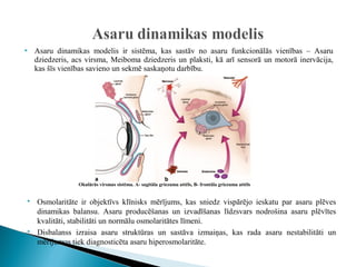    Asaru dinamikas modelis ir sistēma, kas sastāv no asaru funkcionālās vienības – Asaru
    dziedzeris, acs virsma, Meiboma dziedzeris un plaksti, kā arī sensorā un motorā inervācija,
    kas šīs vienības savieno un sekmē saskaņotu darbību.




                 Okulārās virsmas sistēma. A- sagitāla griezuma attēls, B- frontāla griezuma attēls


   Osmolaritāte ir objektīvs klīnisks mērījums, kas sniedz vispārējo ieskatu par asaru plēves
    dinamikas balansu. Asaru producēšanas un izvadīšanas līdzsvars nodrošina asaru plēvītes
    kvalitāti, stabilitāti un normālu osmolaritātes līmeni.
   Disbalanss izraisa asaru struktūras un sastāva izmaiņas, kas rada asaru nestabilitāti un
    mērījumos tiek diagnosticēta asaru hiperosmolaritāte.
 