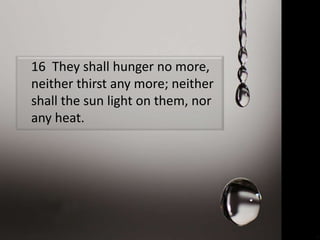16 They shall hunger no more,
neither thirst any more; neither
shall the sun light on them, nor
any heat.
 