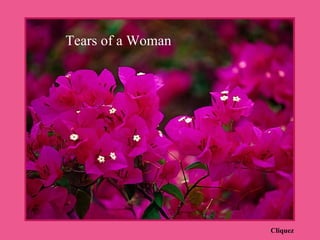 Cliquez Tears of a Woman 