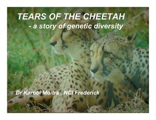 TEARS OF THE CHEETAH
    - a story of genetic diversity




Dr Karobi Moitra , NCI Frederick
 