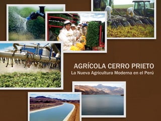 AGRÍCOLA CERRO PRIETO La Nueva Agricultura Moderna en el Perú 