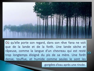 Où qu’elle porte son regard, dans son rêve Yana ne voit que de la lande et de la forêt. Une lande sèche et râpeuse, comme la langue d’un chevreau qui est resté trop longtemps éloigné du pis de sa mère. Une forêt dense, touffue, et humide comme seules le sont les moussesgorgées d’eau après une rincée.