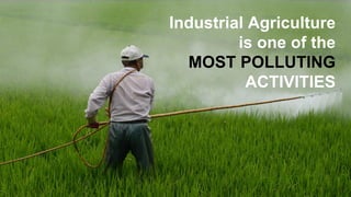 Industrial Agriculture
is one of the
MOST POLLUTING
ACTIVITIES
 