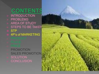 Tea tablets a new product launch | PPTX