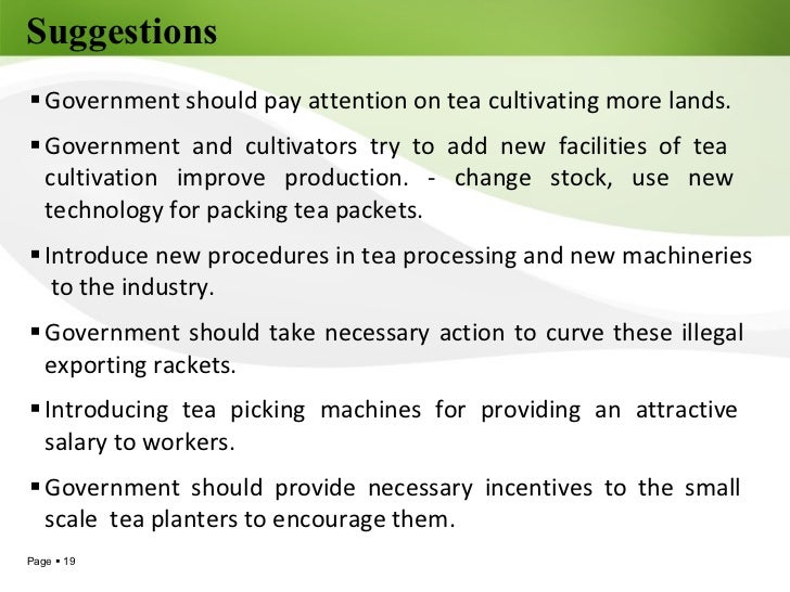 Tea Export Industry in Sri Lanka